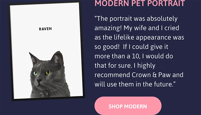 Modern pet portrait: The portrait was absolutely amazing! My wife and I cried as the lifelike appearance was so good!  If I could give it more than a 10, I would do that for sure. I highly recommend Crown & Paw and will use them in the future.