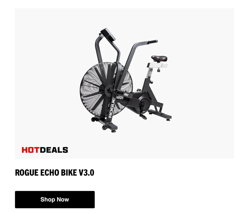 Rogue Echo Bike V3.0
