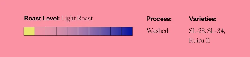 Roast Level: Light Roast Process: Washed Varieties: SL-28, SL-34, Ruiru 11