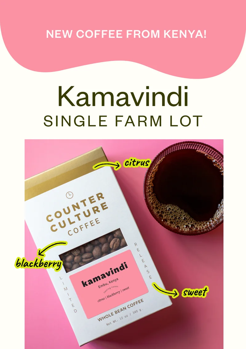 New coffee from Kenya! Kamavindi Single Farm lot blackberry citrus sweet