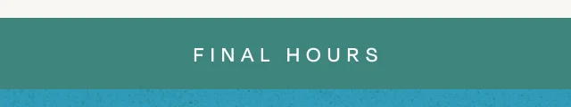 Final Hours - Image