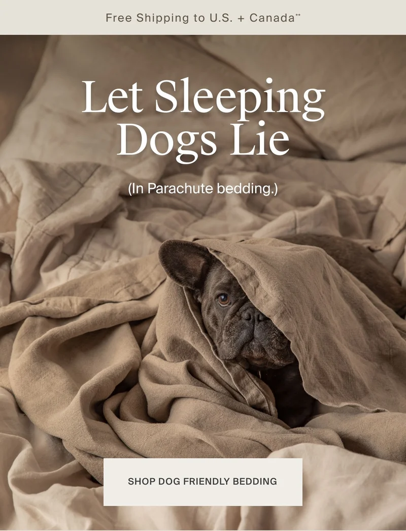 Shop Dog Friendly Bedding
