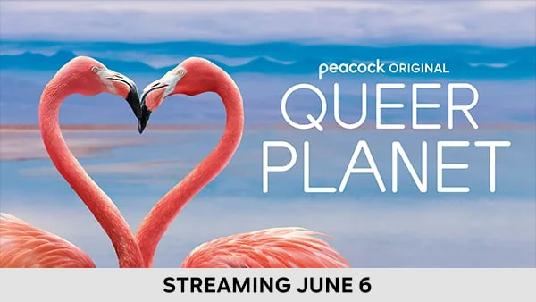 Queer Planet