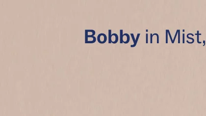 Bobby in mist
