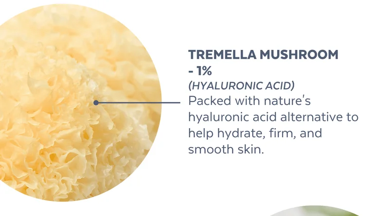 Tremella Mushroom  - 1% (Hyaluronic Acid)  Packed with nature's hyaluronic acid alternative to help hydrate, firm, and smooth skin.