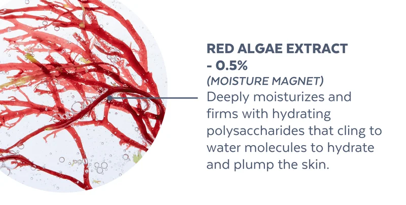 Red Algae Extract  - 0.5% (Moisture Magnet) Deeply moisturizes and  firms with hydrating polysaccharides that cling to water molecules to hydrate and plump the skin.