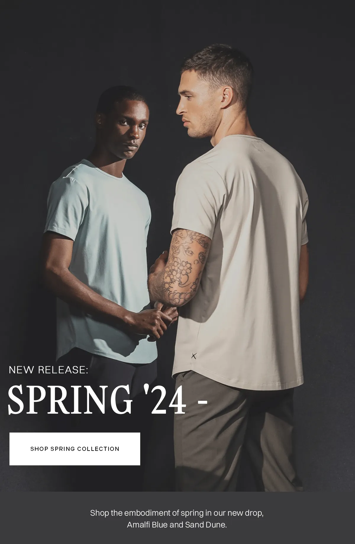 Spring New Release 2024