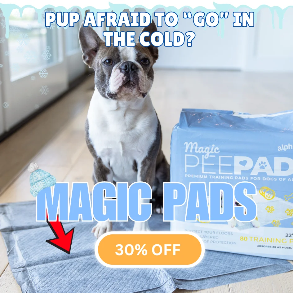 Magic Pads