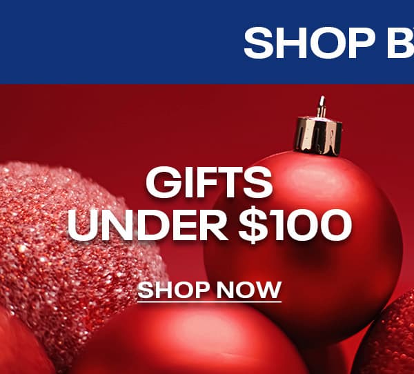 Gifts Under $100