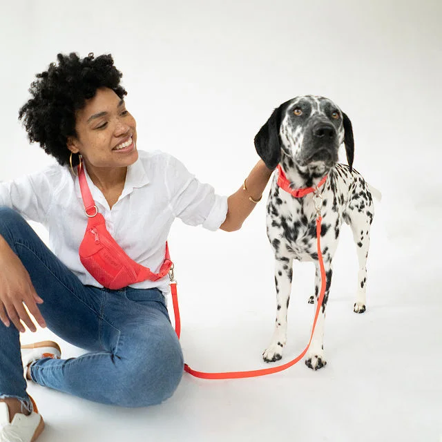 4-in-1 Hands-Free Dog Walking Leash Bag
