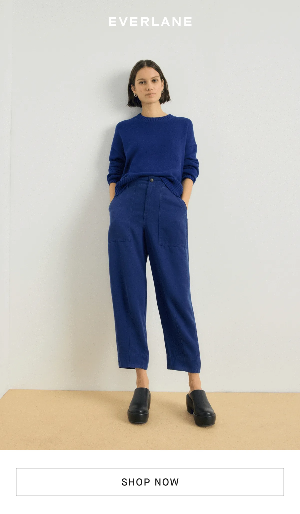 [EVERLANE][IMAGE][SHOP NOW]