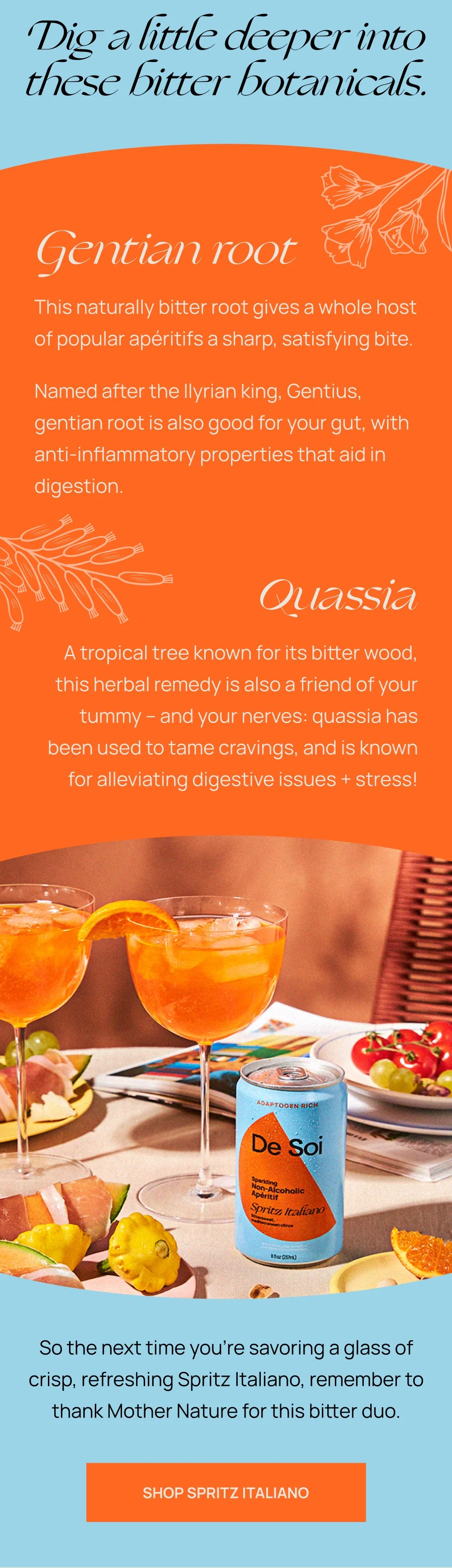 Dig a little deeper into these bitter botanicals.