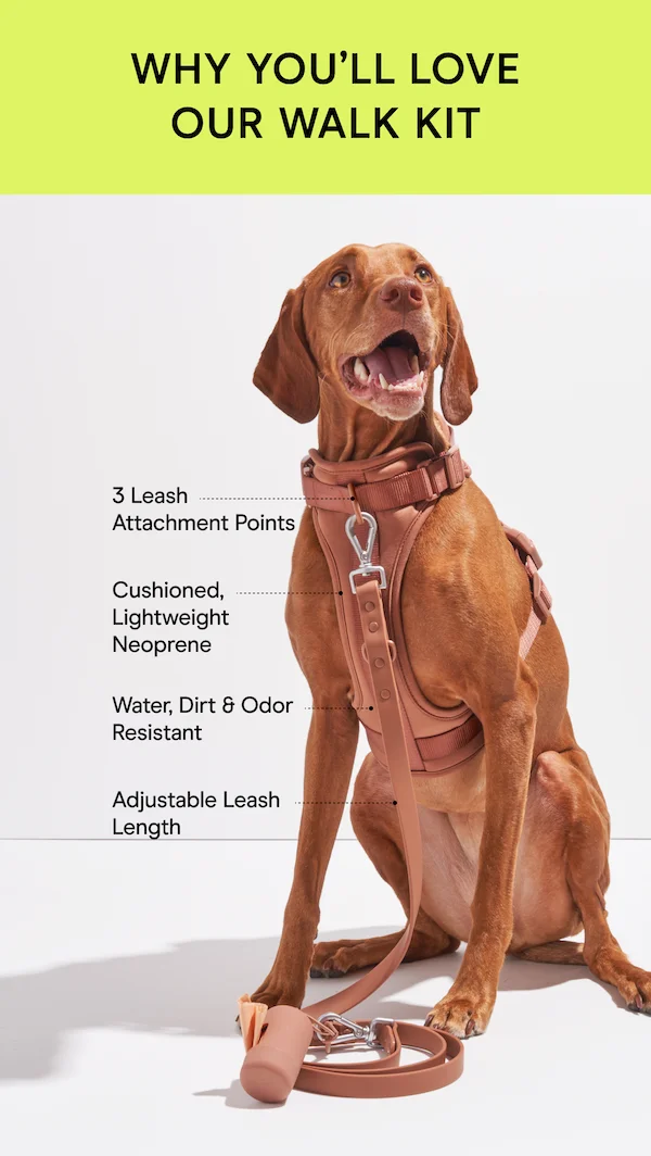 Why You’ll Love Our Walk Kit 3 Leash Attachment Points Cushioned, Lightweight Neoprene Water, Dirt & Odor Resistant Adjustable Leash Length