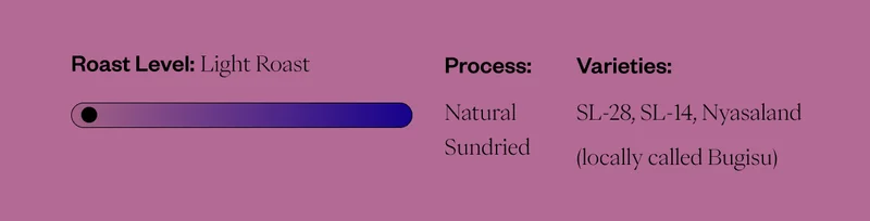 Roast Level: Light Roast Process: Natural Varieties: SL-28, SL-14, Nyasaland (locally called Bugisu)