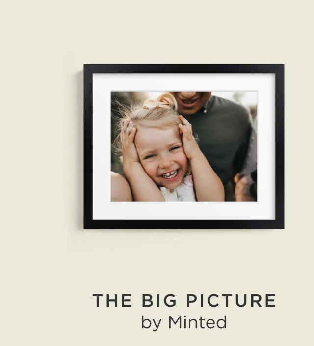 The Big Picture