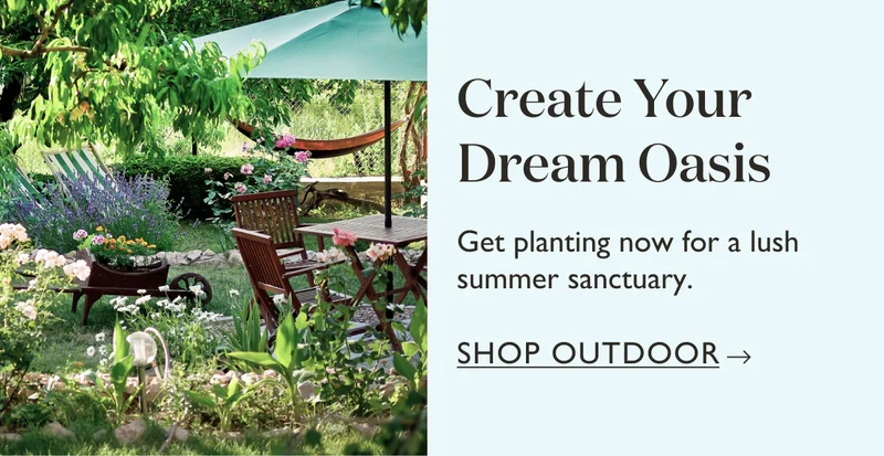 Create Your Dream Oasis: Get planting now for a lush summer sanctuary.