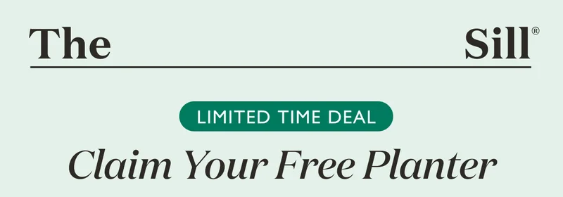 Limited Time Deal: Claim Your Free Planter!