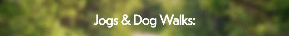 Jogs & Dog Walks: