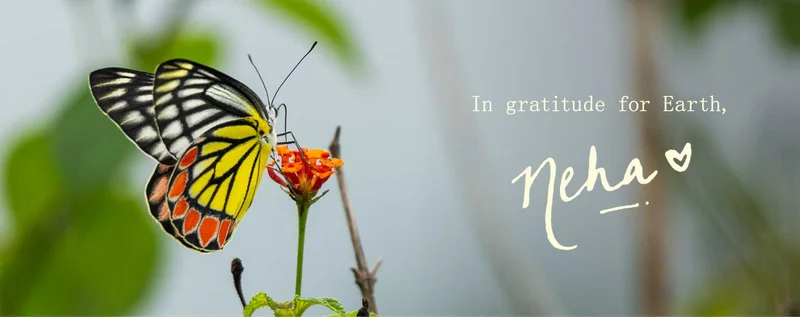 In gratitude for Earth, Neha.