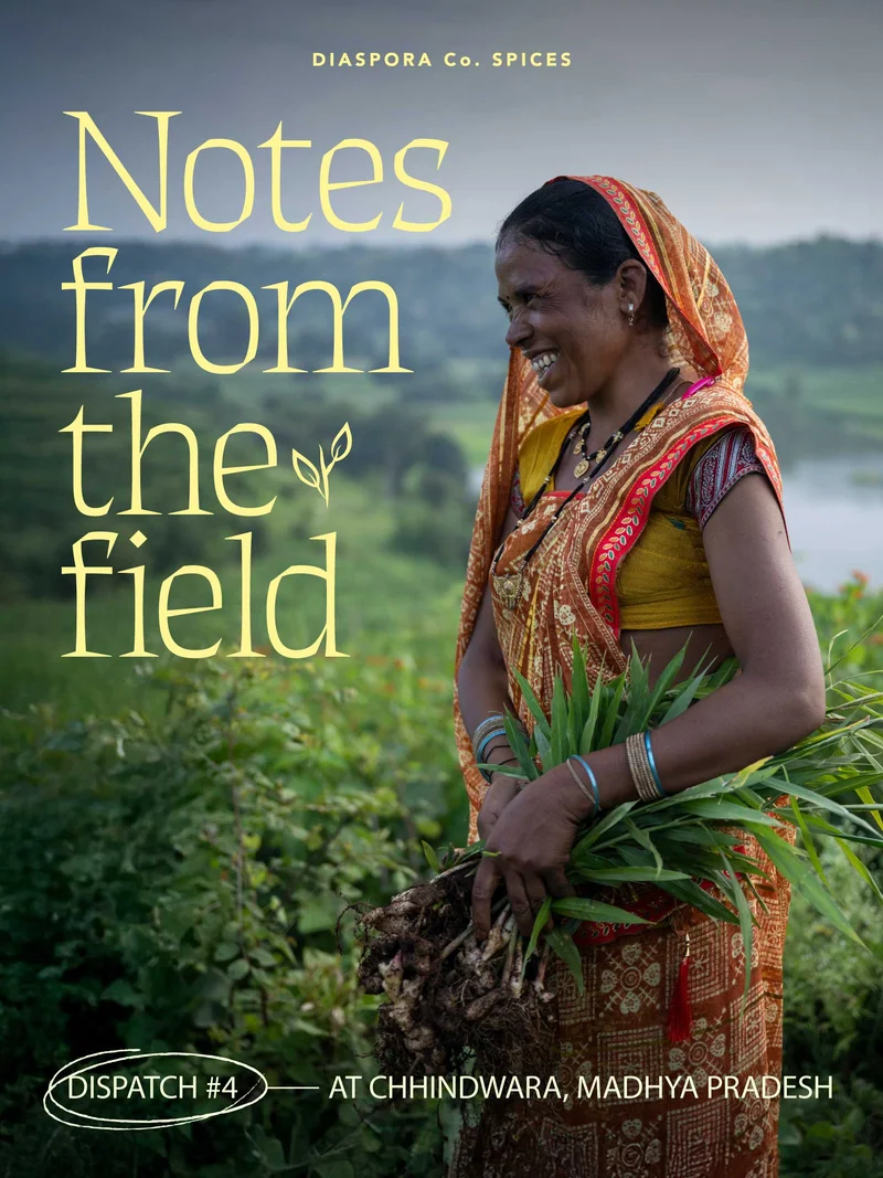 Notes from the field. Dispatch 4: at Chhindwara, Madhya Pradesh