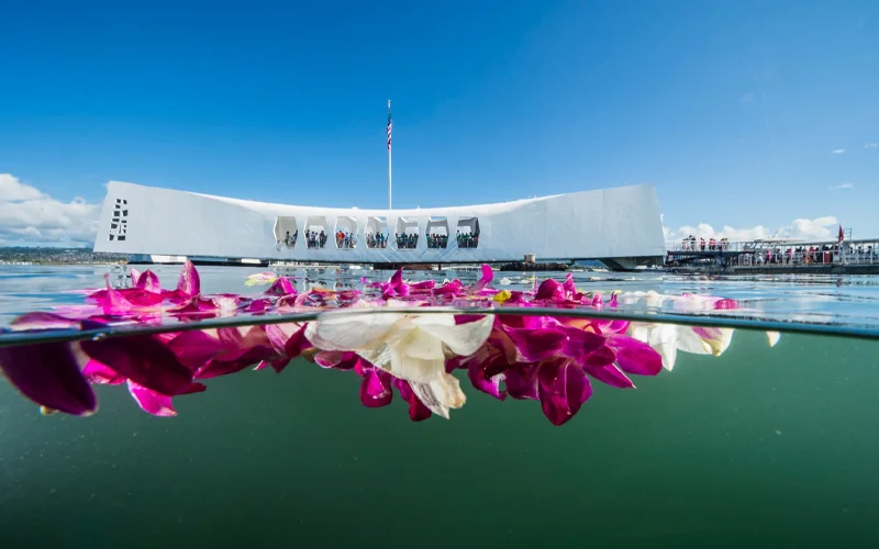 Released during a World War II remembrance this week, a raft of colorful plumeria blossoms floats in an oil slick near the U.S.S. Arizona. The ship is still leaking five to eight quarts a day.