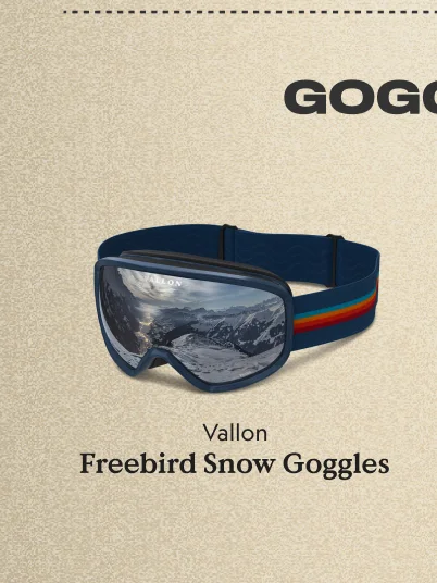 Freebird Snow Goggles