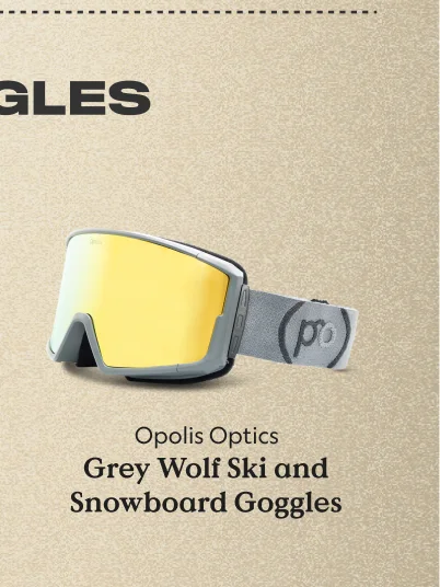 Grey Wolf Ski and Snowboard Goggles