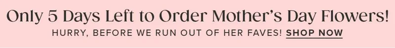 Only 5 Days Left to Order Mother's Day Flowers! Hurry, before we run out of her faves! Shop Now