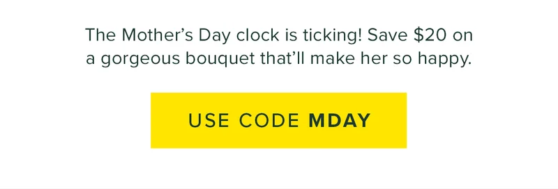 The Mother's Day clock is ticking! Save $20 on a gorgeous bouquet that'll make her so happy. Use code MDAY.