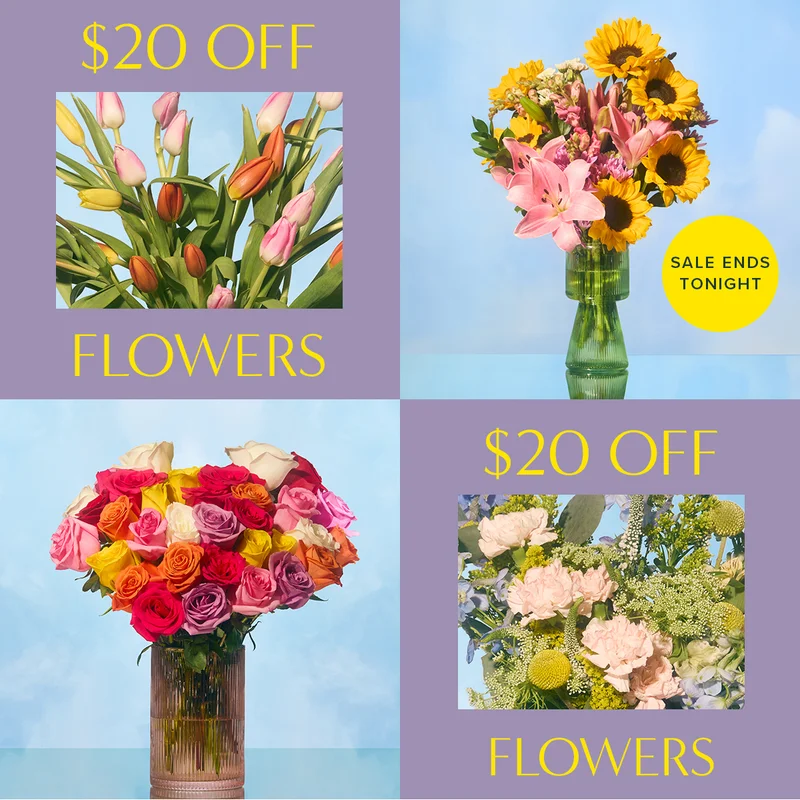 Ends Tonight! $20 Off Flowers.