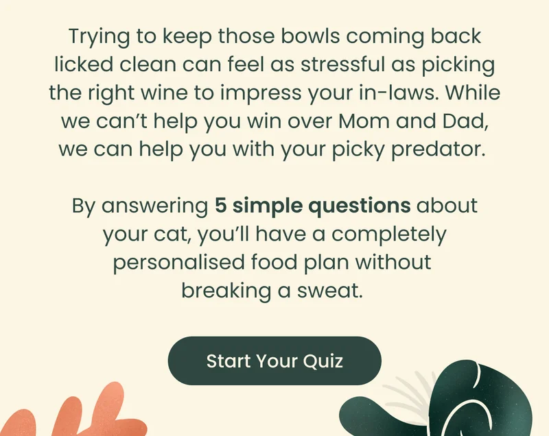 Start Your Quiz