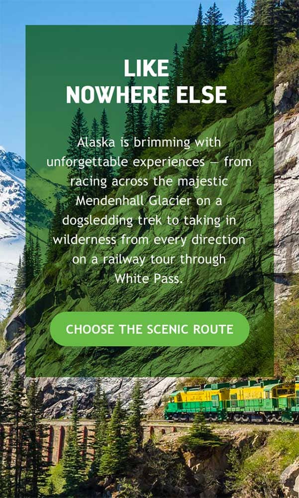 SCENIC ROUTE TRAIN