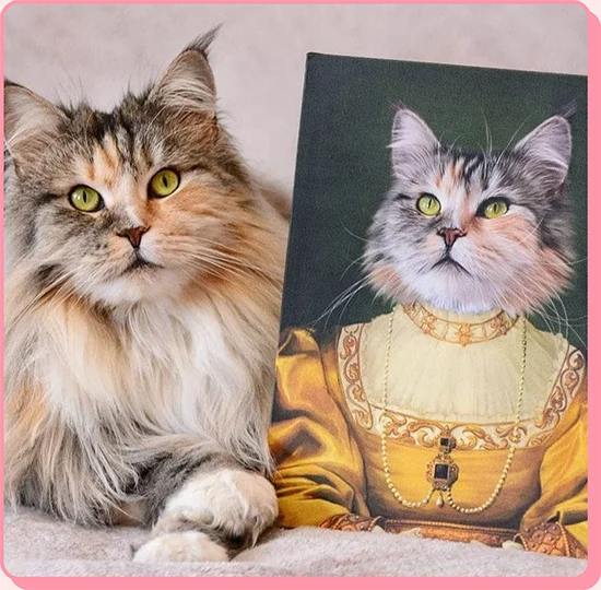 The Golden Girl Cat Portrait