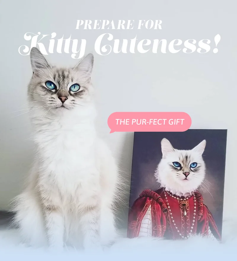 Prepare for Kitty Cuteness!