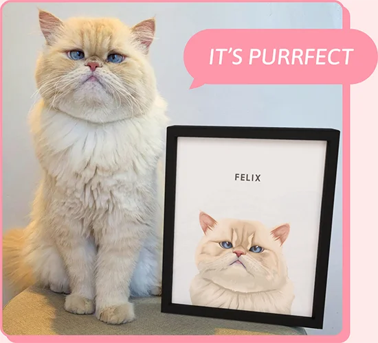 Modern Cat Portrait