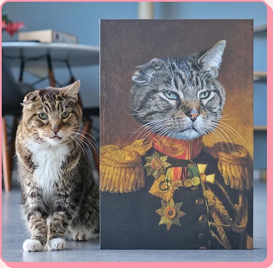 The Veteran Cat Portrait