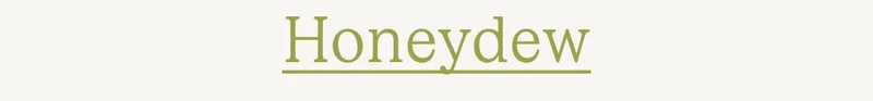 Honeydew