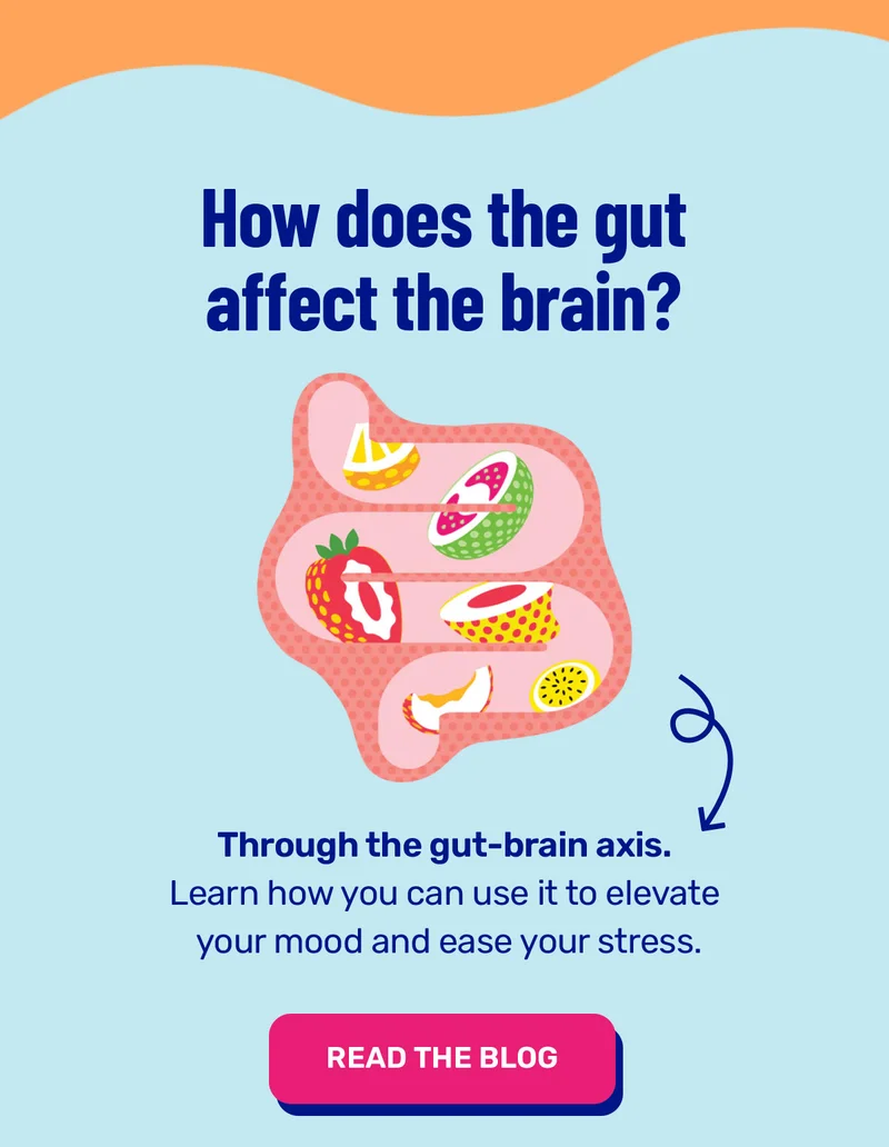 How does the gut affect the brain?