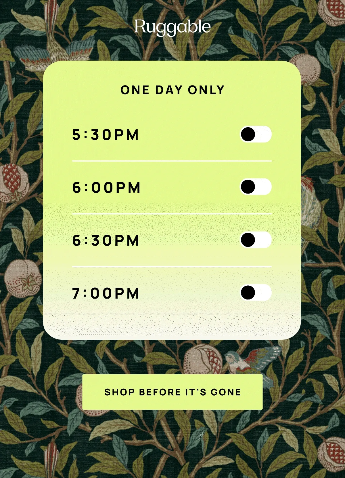 Shop Now