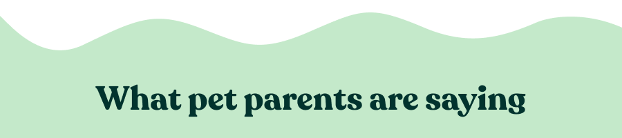 What pet parents are saying