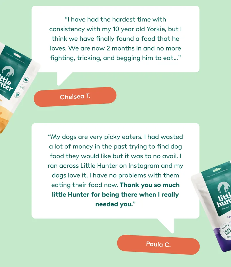 What pet parents are saying
