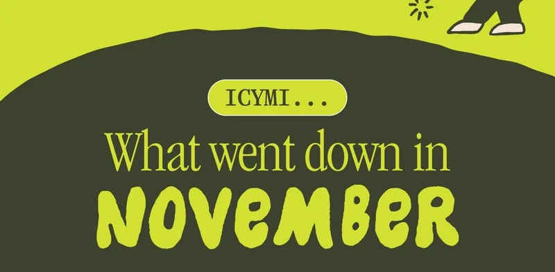 ICYMI... WHAT WENT DOWN IN NOVEMBER