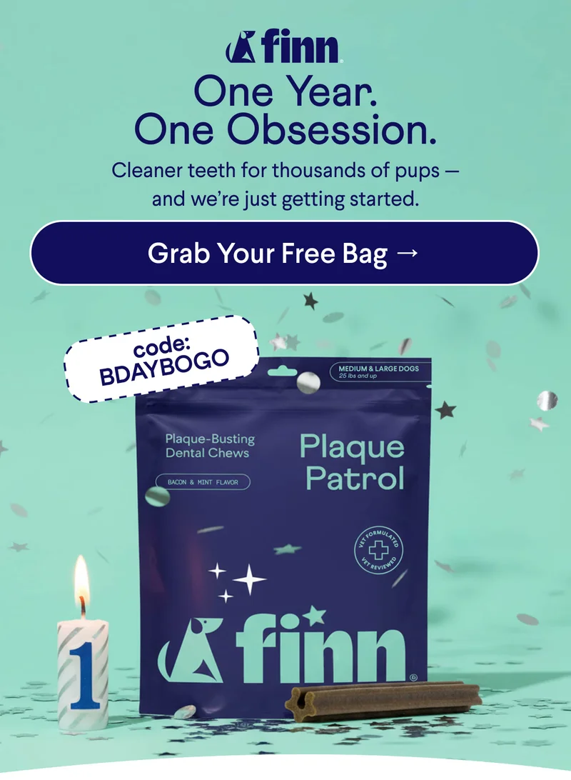 Finn logo. Text:&nbsp;&nbsp;One Year. One Obsession. Cleaner teeth for thousands of pups — and we’re just getting started. CTA: Grab Your Free Bag → code: BDAYBOGO