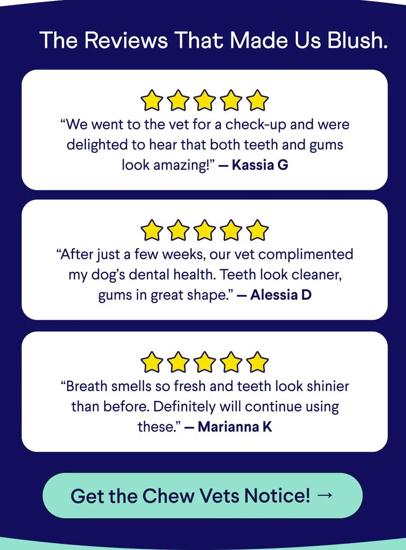 Text:The Reviews That Made Us Blush. “We went to the vet for a check-up and were delighted to hear that both teeth and gums look amazing!” — Kassia G  “After just a few weeks, our vet complimented my dog’s dental health. Teeth look cleaner, gums in great shape.” — Alessia D  “Breath smells so fresh and teeth look shinier than before. Definitely will continue using these.” — Marianna K. CTA: Get the Chew Vets Notice! →