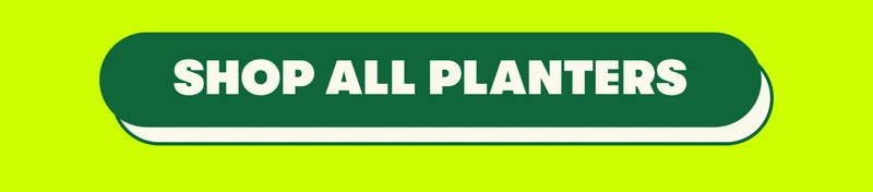 [SHOP ALL PLANTERS]