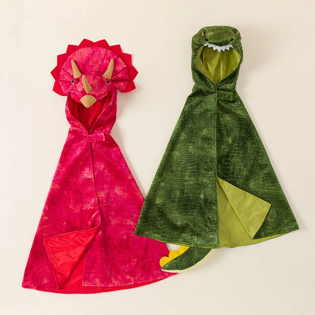 Dinosaur Dress Up Cape