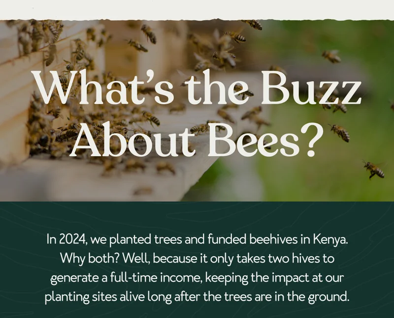 What's the Buzz About Bees?
