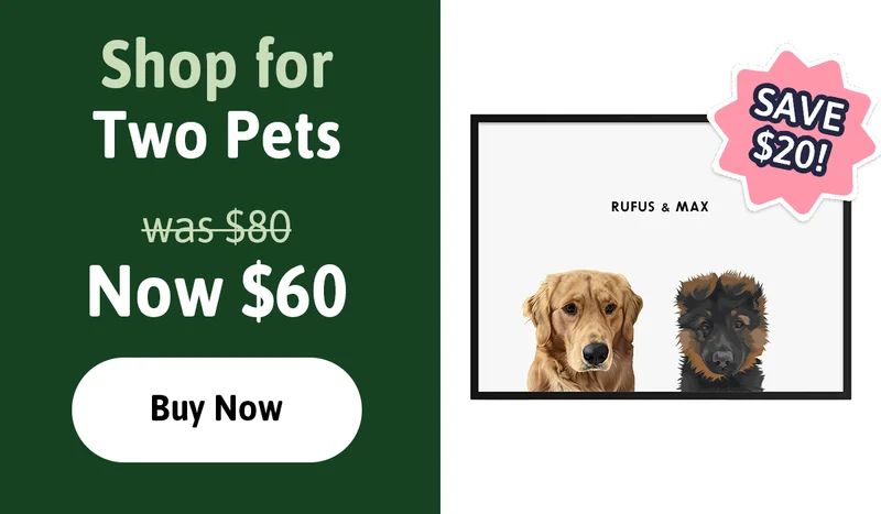 Shop for Two Pets. was $80. Now $60. Buy Now.