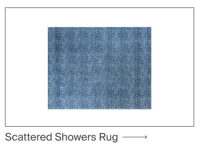 Scattered Showers Rug