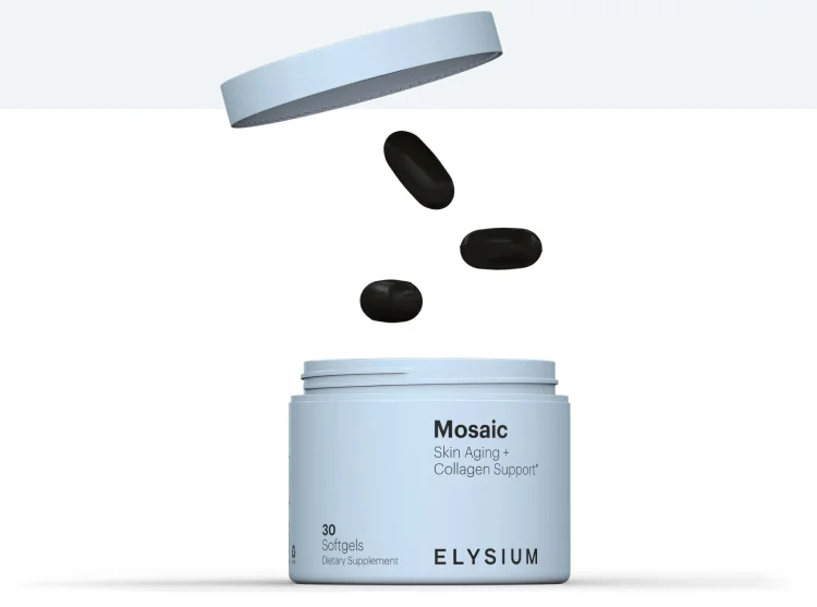 Mosaic | ELYSIUM